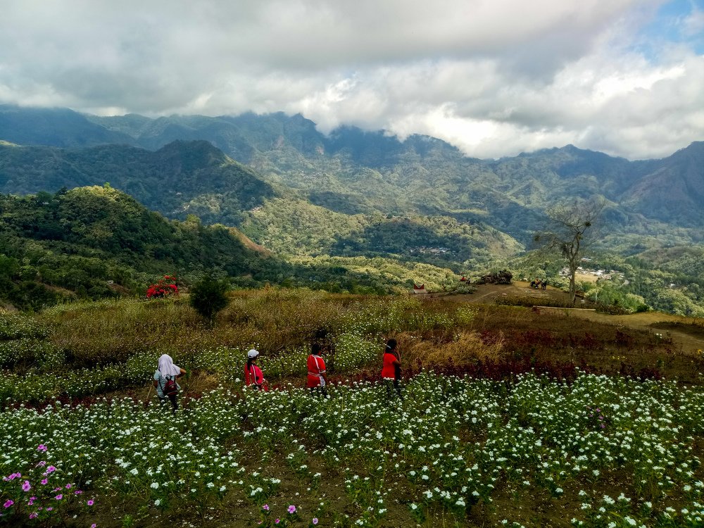 Photograph by Albert Maramis