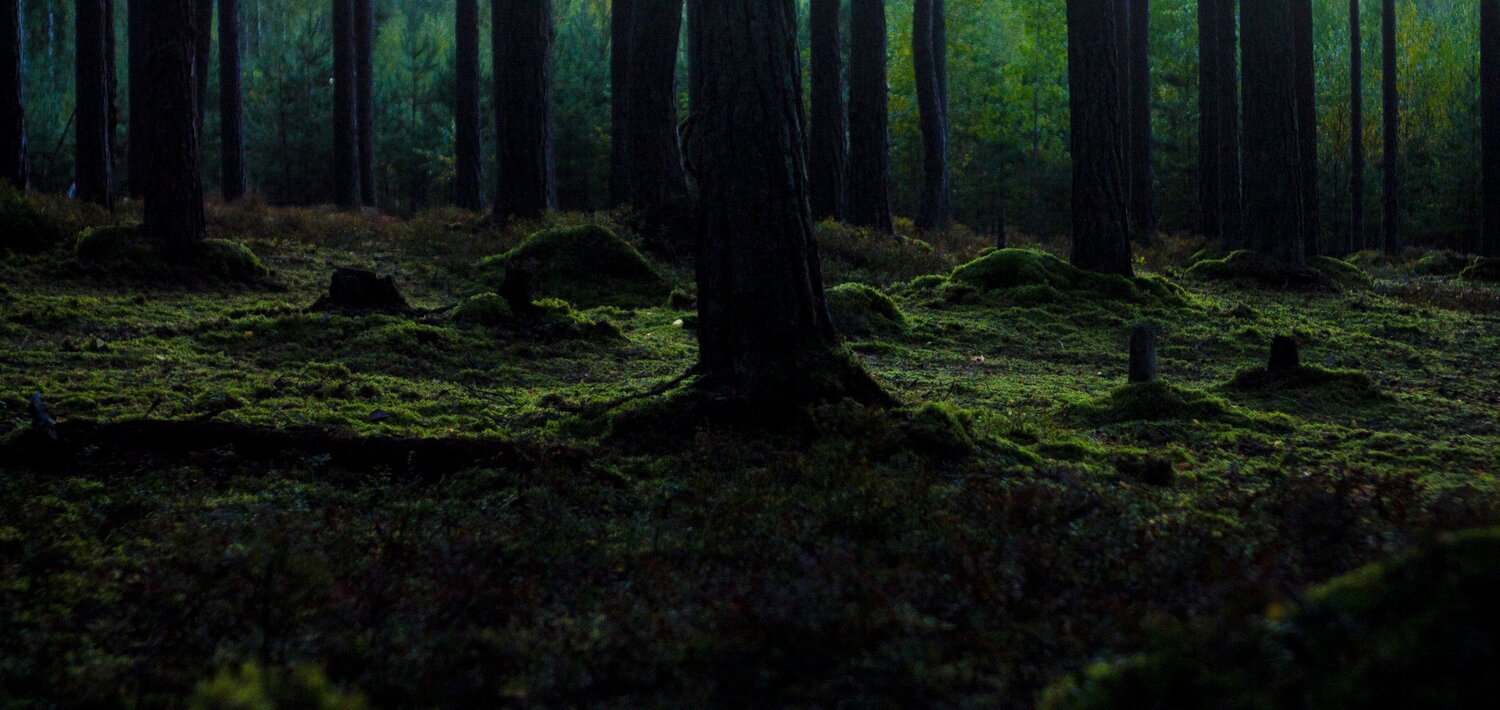 Photo #5537639