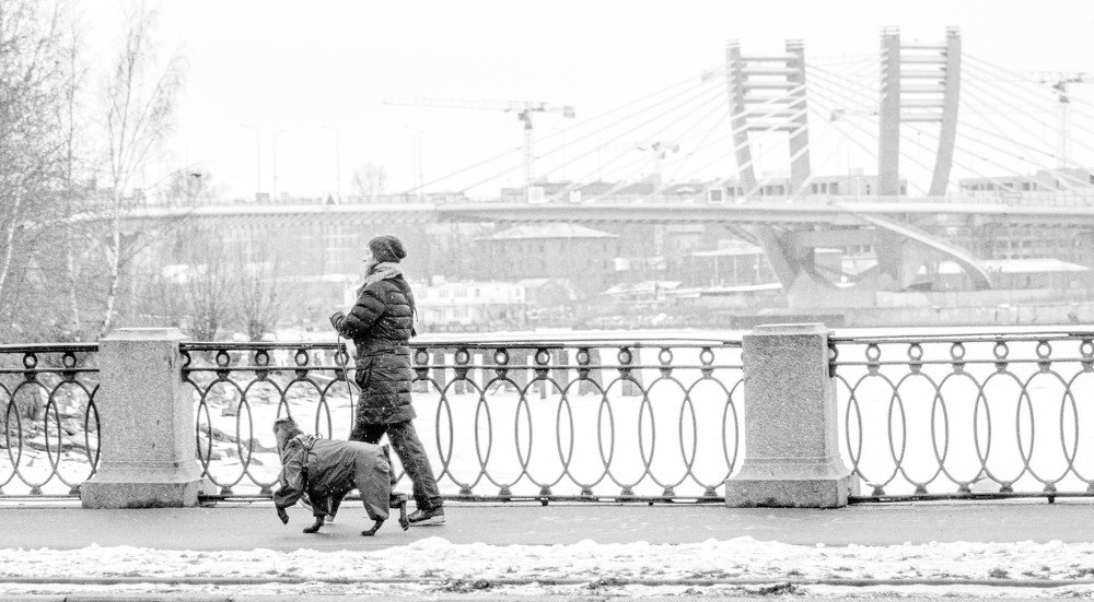 Photograph by Пётр Мурашов