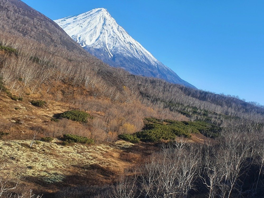 Photograph by Екатерина Швец