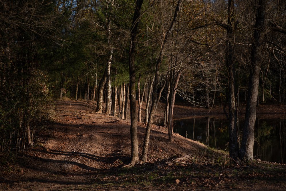 Photograph by Daria Tuchak