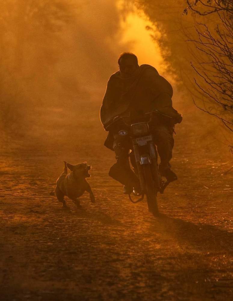 Photograph by Muhammad Imran Zafar