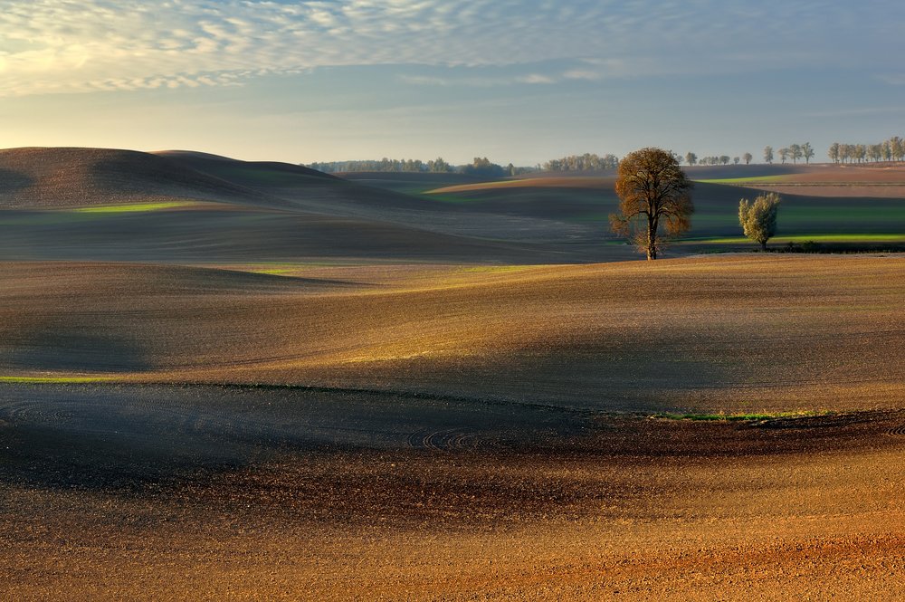 Фотография автора Mariusz Mackiewicz