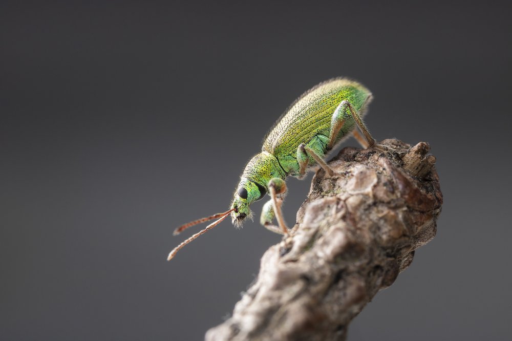 Photograph by Александр Рындин