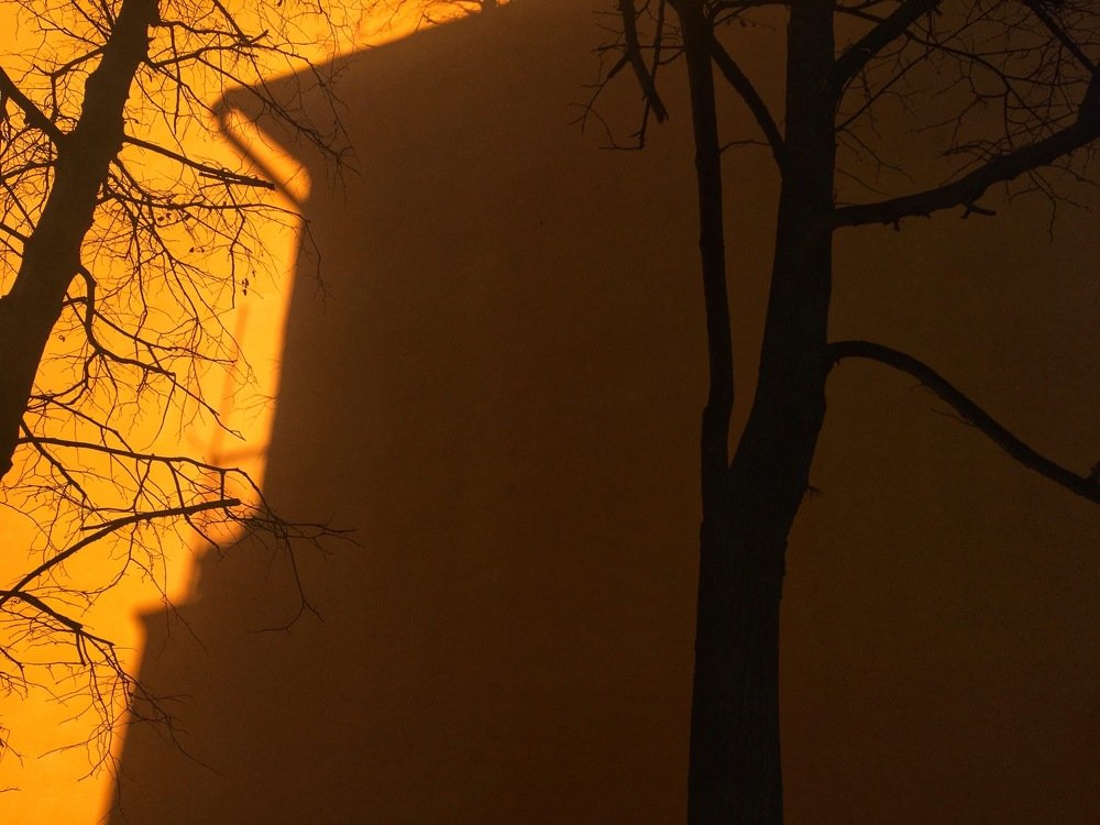 Photograph by Ирина Елсукова