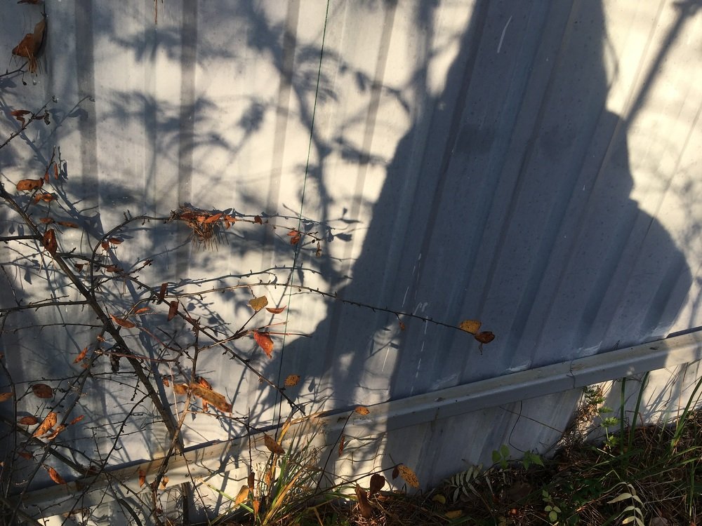 Photograph by Ирина Елсукова