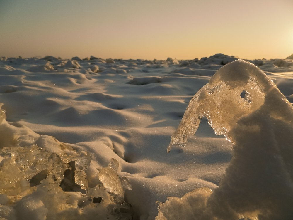 Photograph by Виктор Сёмушкин