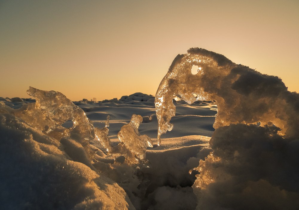 Photograph by Виктор Сёмушкин