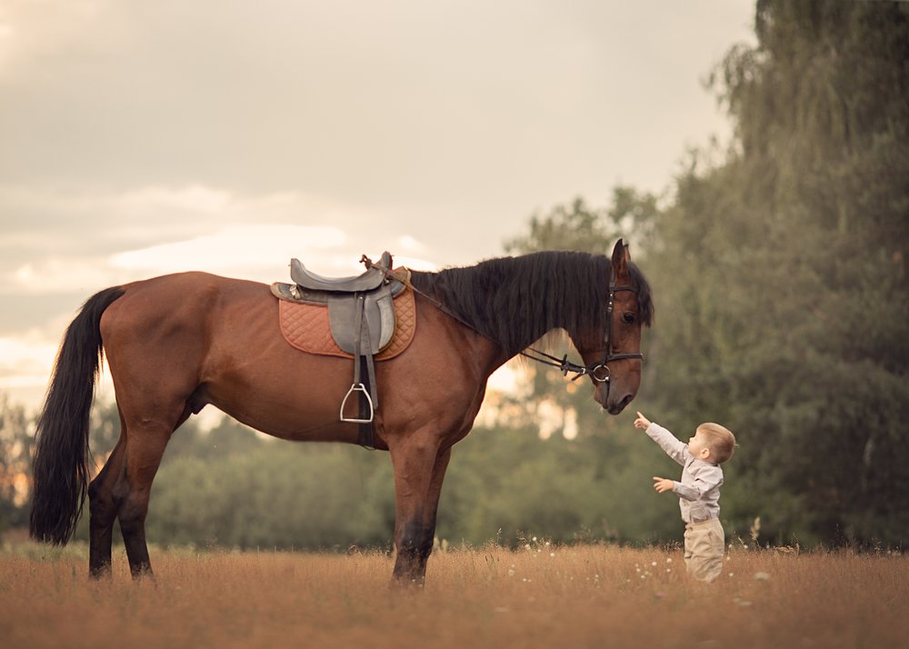 Photograph by TATIANA SHKUNDINA