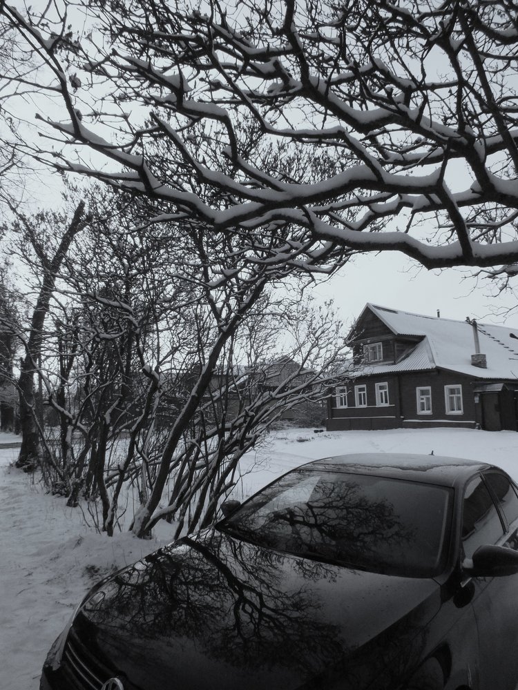 Photograph by Дмитрий Крылов