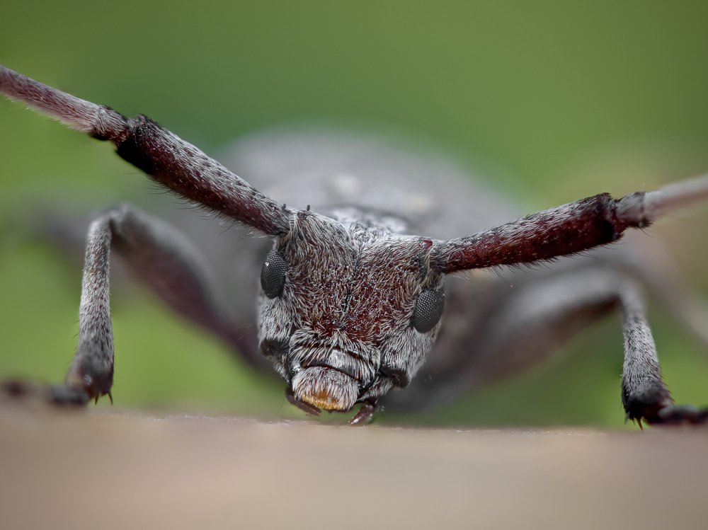 Photograph by Александр Рындин