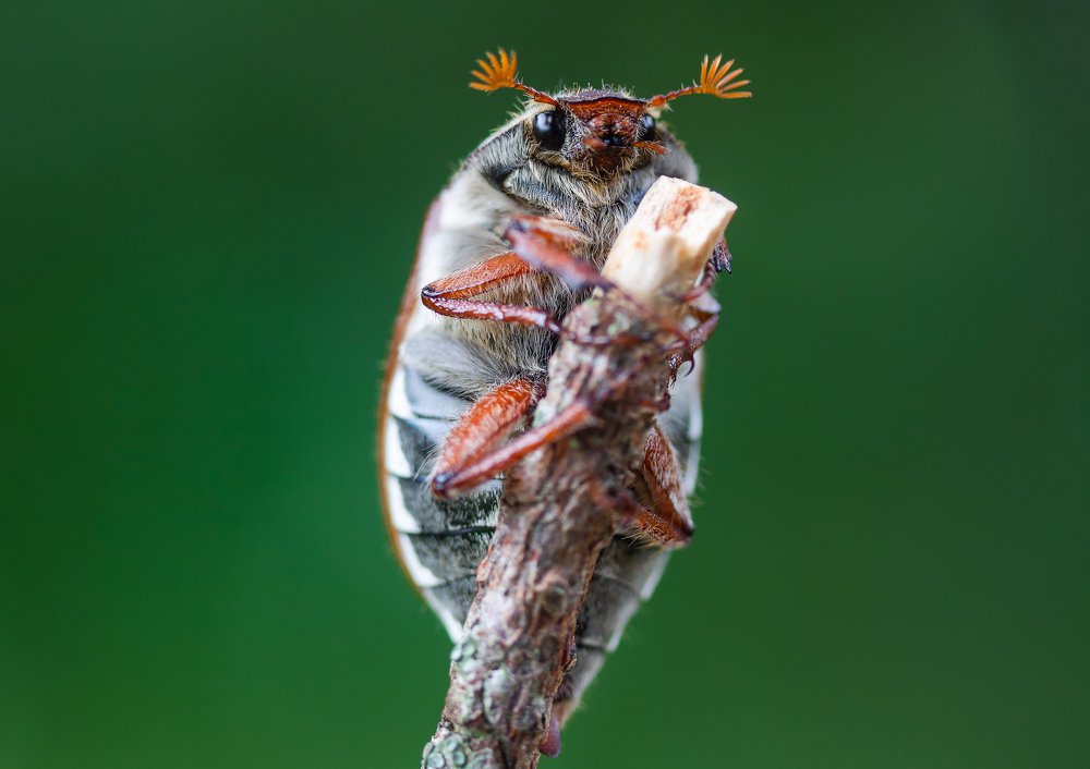 Photograph by Александр Рындин