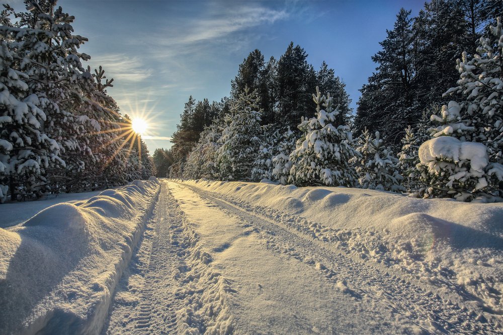 Фотография автора Евгений Кузнецов