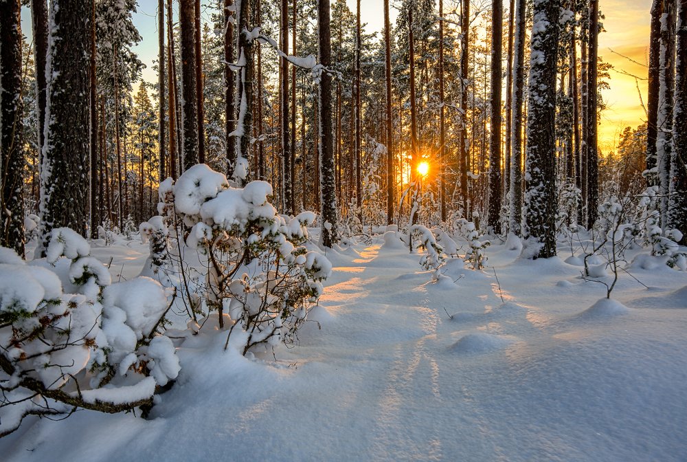 Фотография автора Евгений Кузнецов