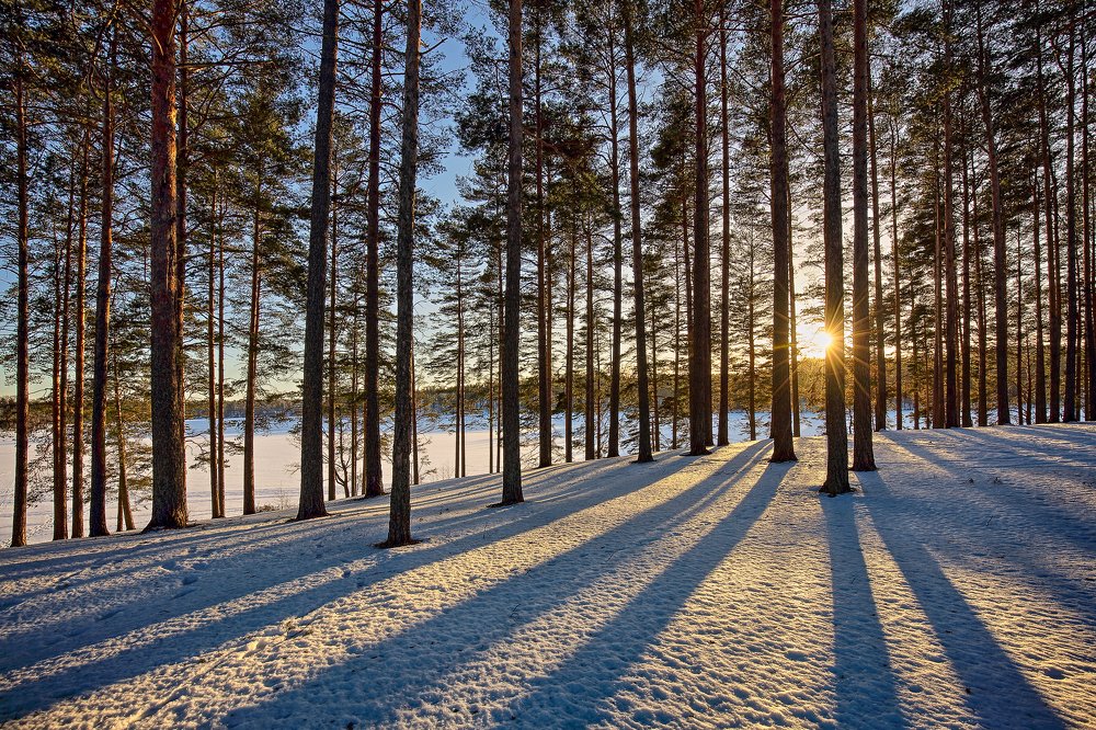 Фотография автора Евгений Кузнецов