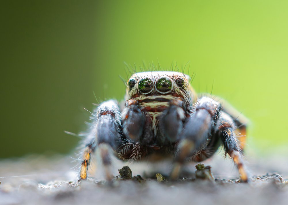 Photograph by Александр Рындин