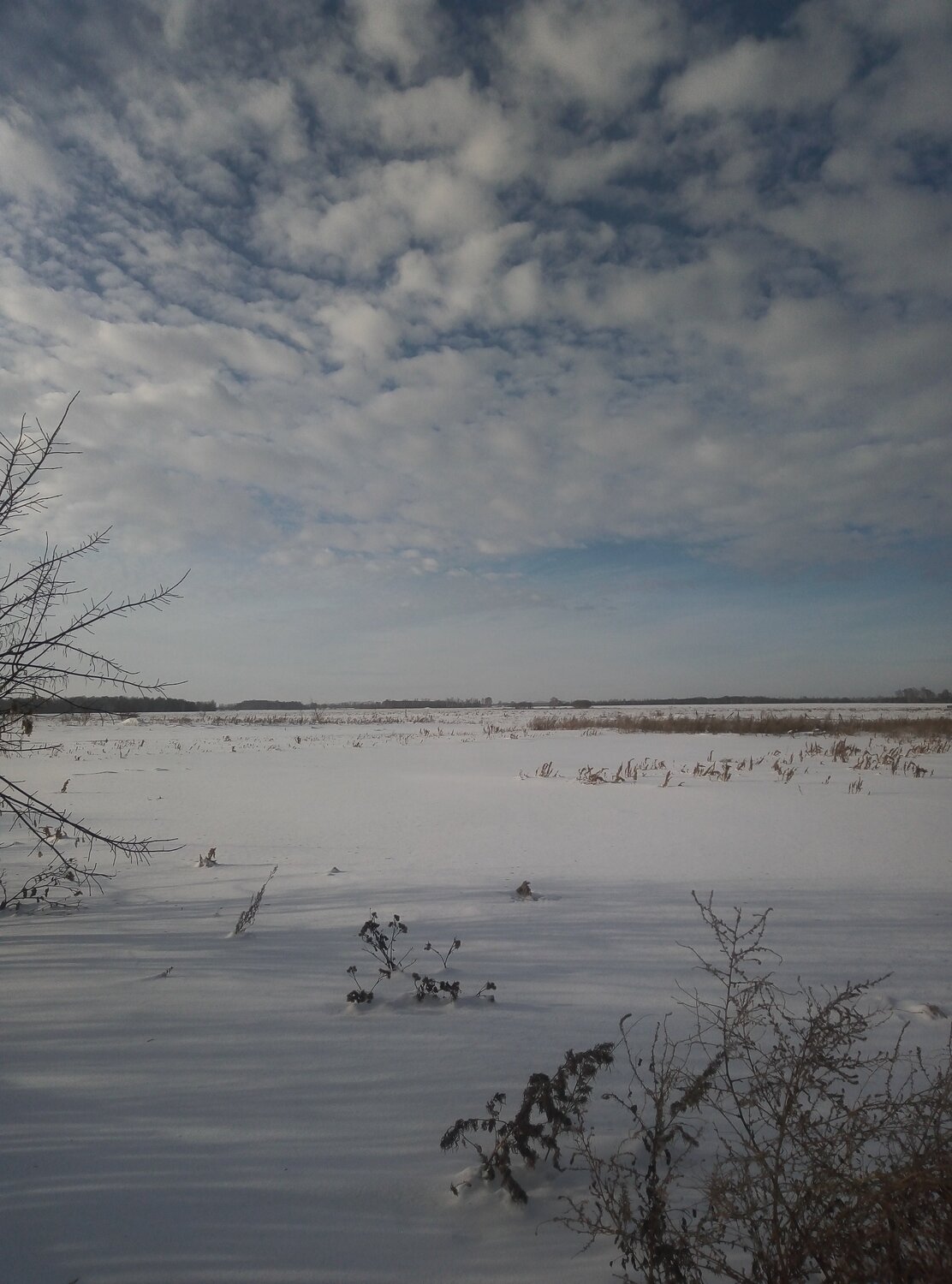 Photo #5538216