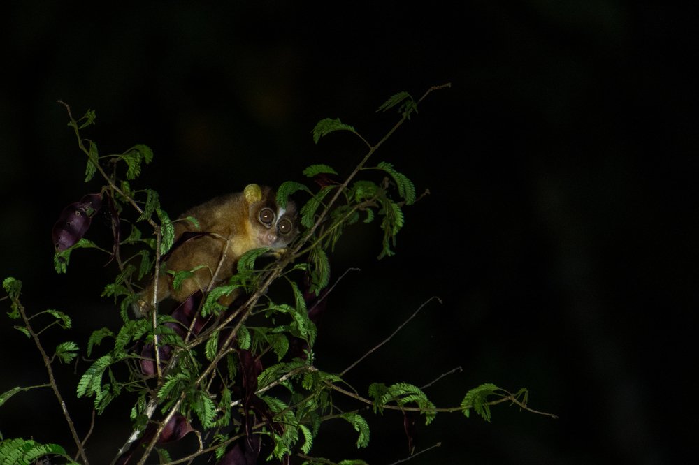 Photograph by Nabarun Majumdar