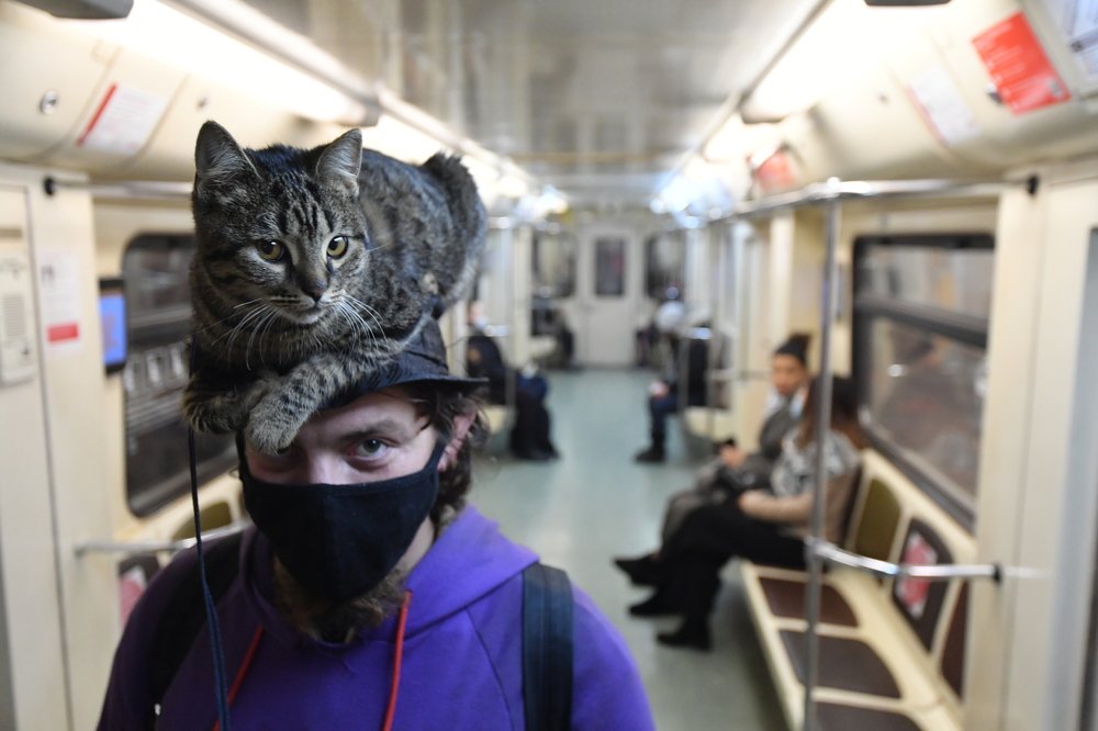 Photograph by Иван Макеев