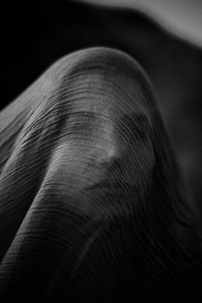 Без названия