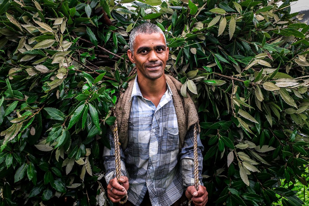 Photograph by Aritra Nath