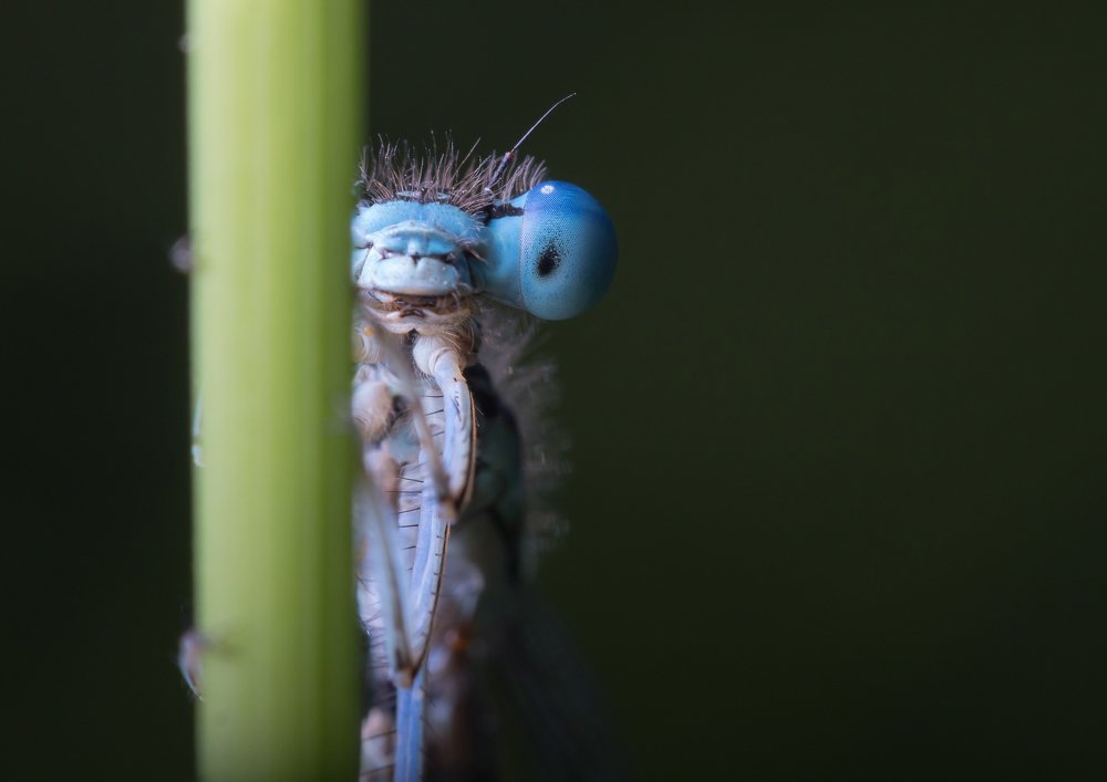 Photograph by Александр Рындин