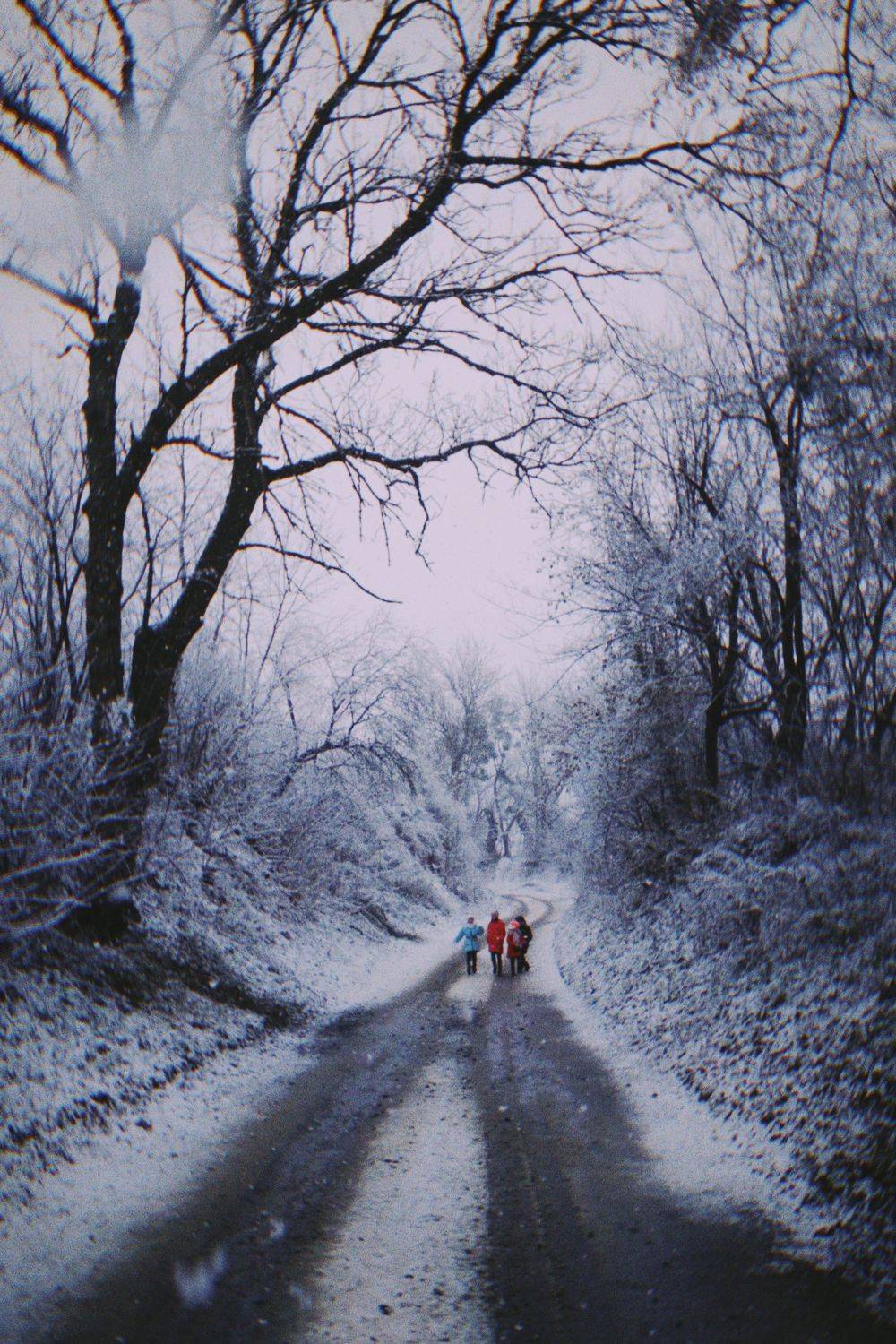 Photo #5538460