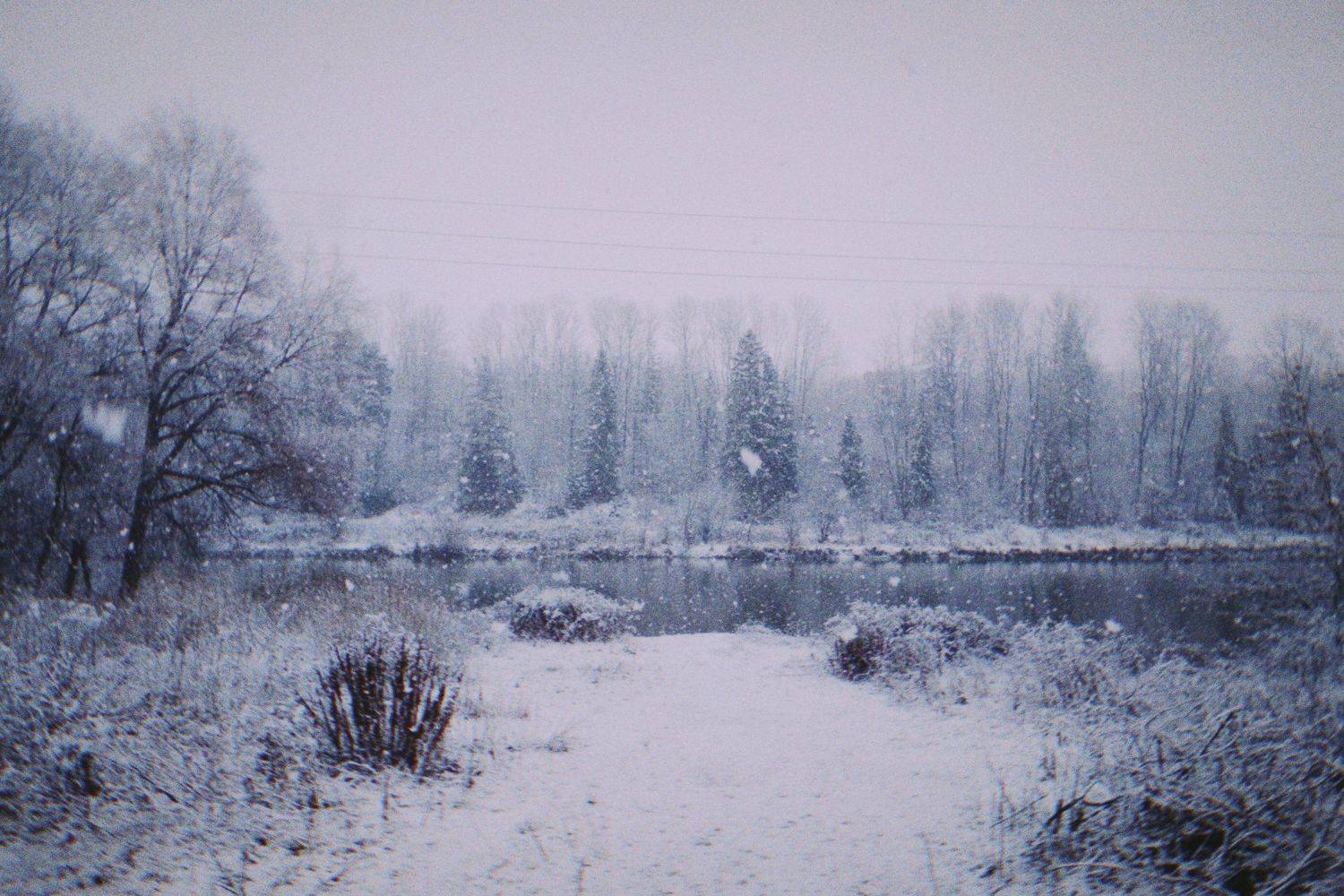 Photo #5538463