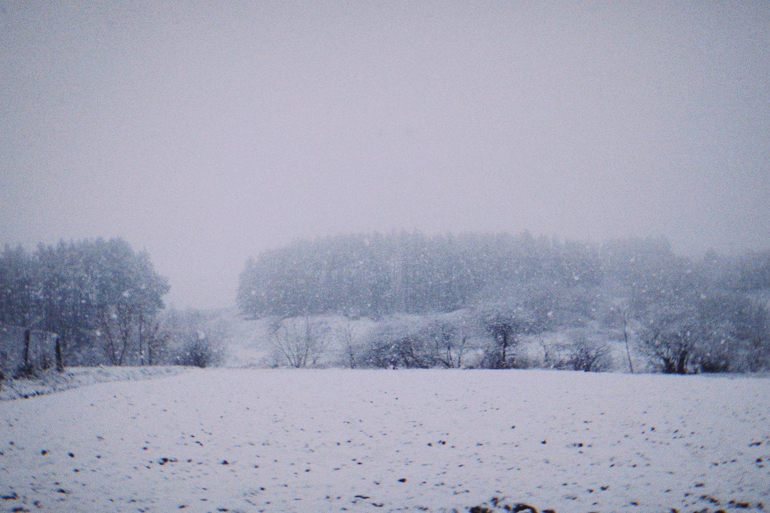 Photo #5538467