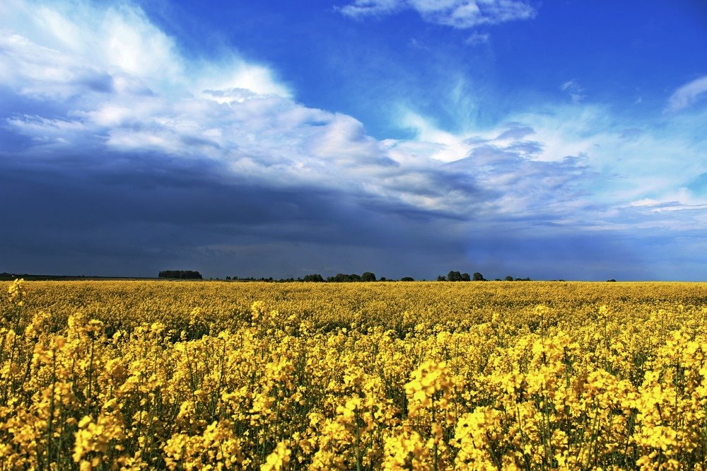 Photograph by Galina Tsmyg