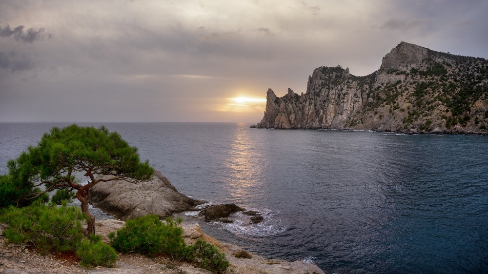 Photograph by Юлия Шумляева