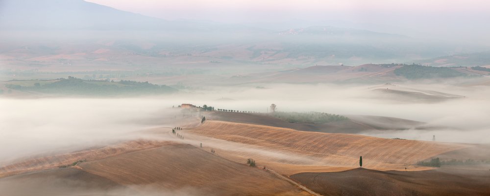 Photograph by Игорь Соколовский