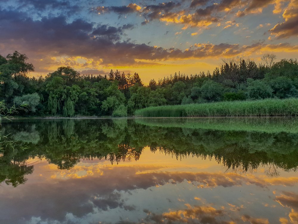 Вечер в лесу
