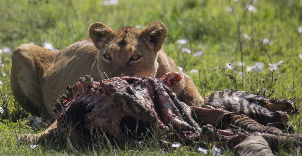 Photograph by Максимов Андрей