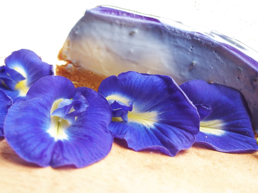 Blue Cheesecake