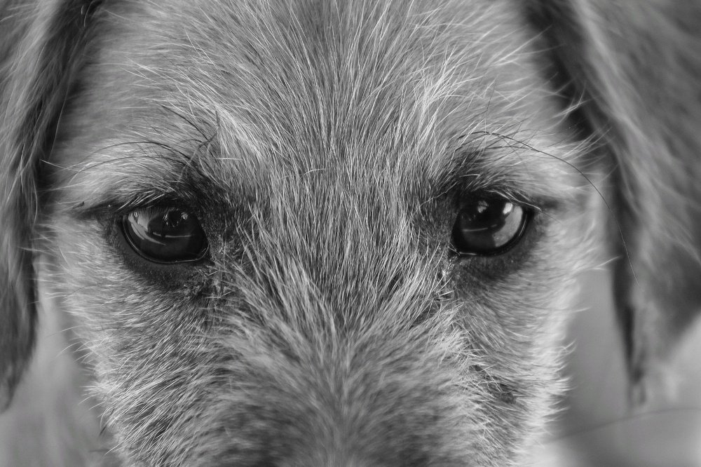 Photograph by Владислав Кулиш