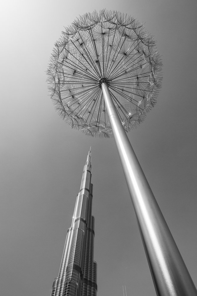 Фотография автора Андрей Пожарский