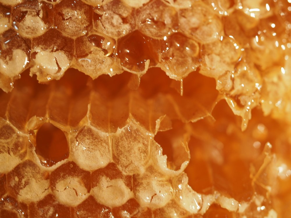 Пчелиная архитектура