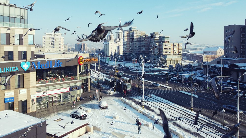 Photograph by Mihai Romeo Bogdan