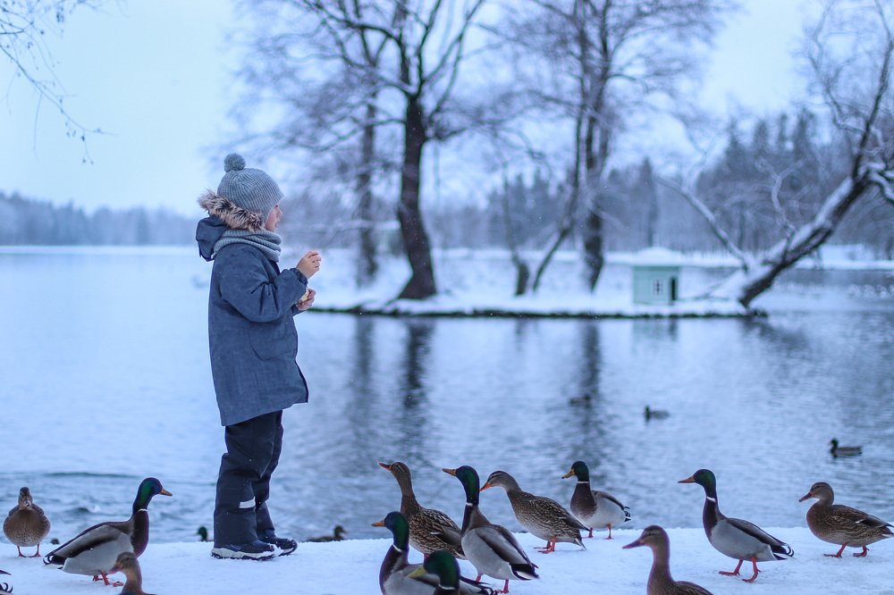 Photograph by Светлана Чаброва