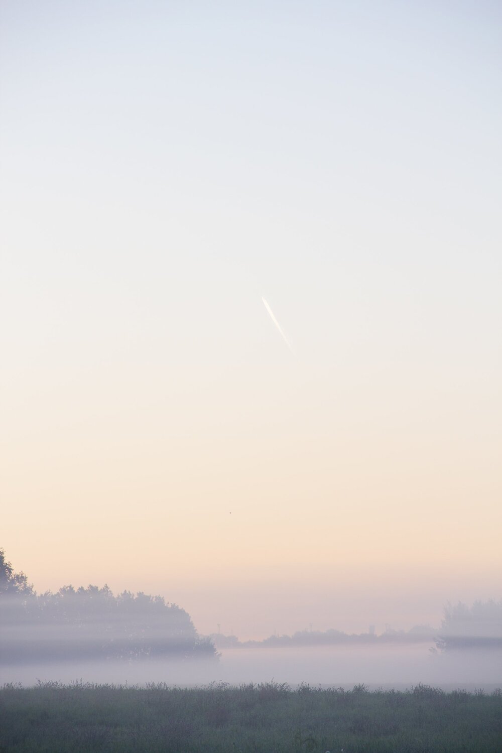 Foggy morning/ Туманное утро.