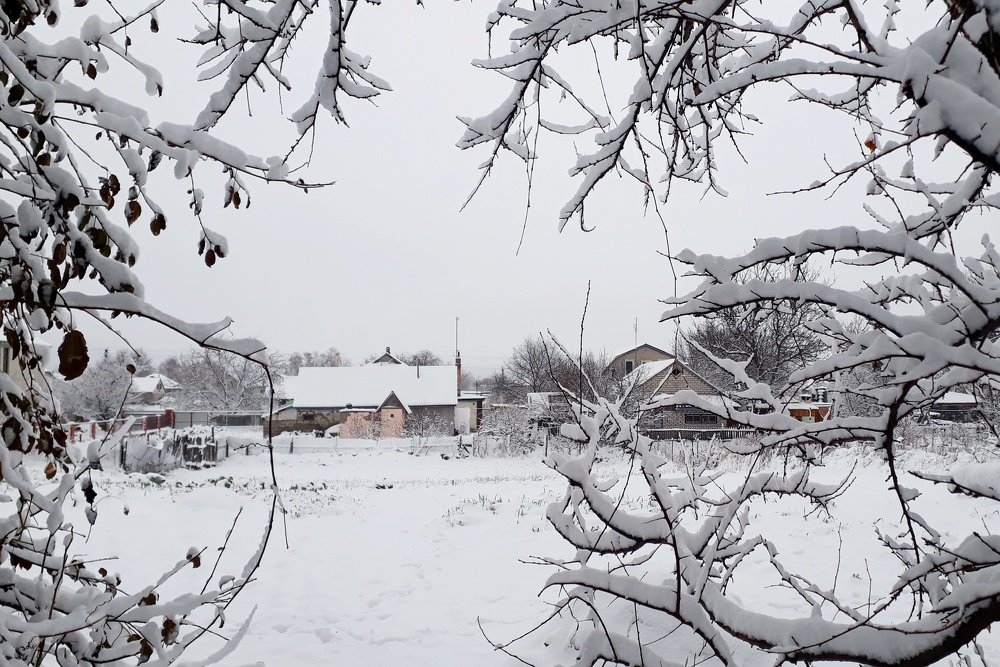 Photograph by Кристина Шляхова