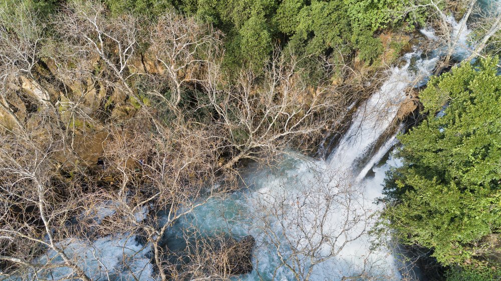 Hidden Waterfall inside a Forest