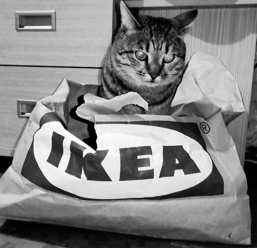 Мурзик и IKEA