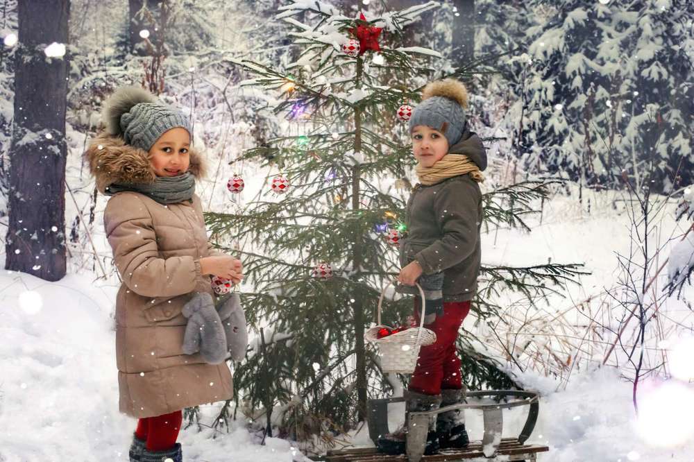 Фотография автора Надежда Бойкова