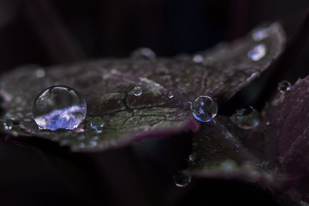 Frozen raindrops.
