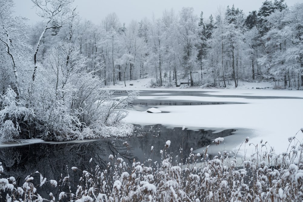 Photograph by Valentina