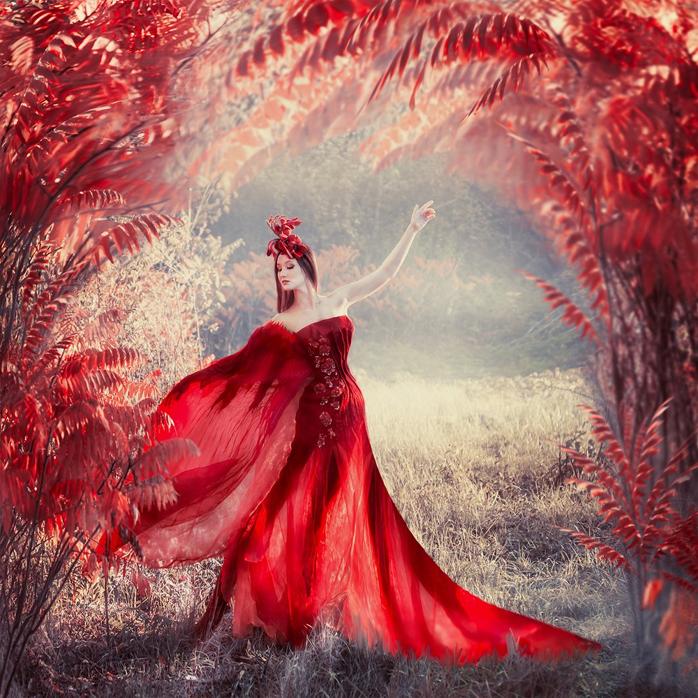 Photograph by Victoria Shibut