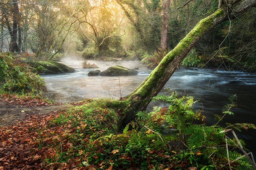 Photograph by Damian Varela