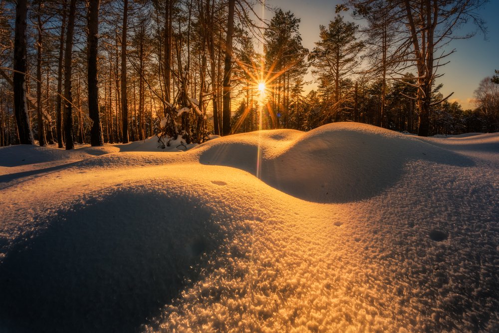 Photograph by Damian Varela